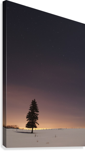 Stars In The With - Posterazzi Stars In The Night Sky Anada Posterprint (289x511), Png Download