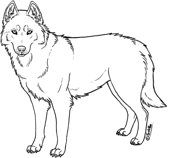 Transparent Base Husky - Outline Of A Husky (608x553), Png Download