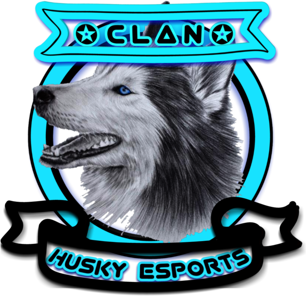 [e][h]husky Esports - Keeshond (600x600), Png Download
