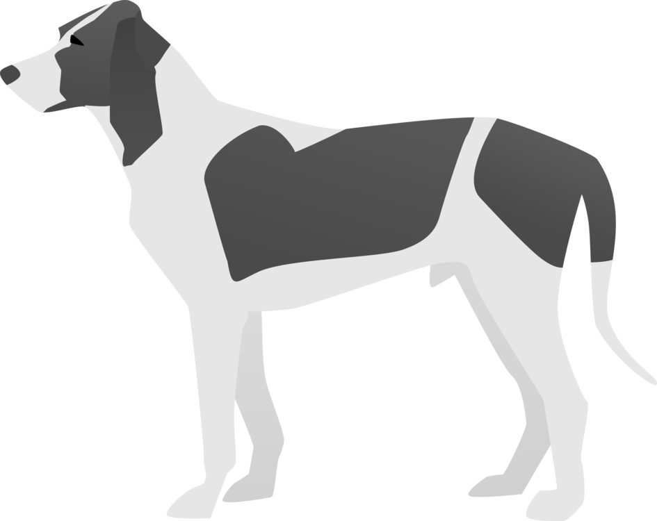Dog Breed Italian Greyhound American Pit Bull Terrier - Dog (945x750), Png Download