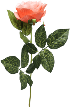 Single Rose Stem Orange - Orange Long Stem Rose Png (300x450), Png Download