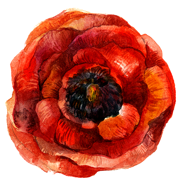 Single Flower Picture Material - Best Friend Gift Best Friend Necklace Best Friend Birthday (650x663), Png Download