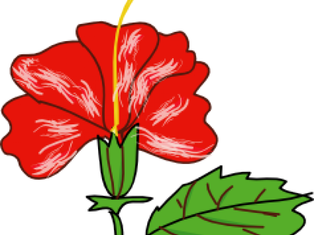 Floral Clipart Single - Hibiscus In Cartoon (640x480), Png Download
