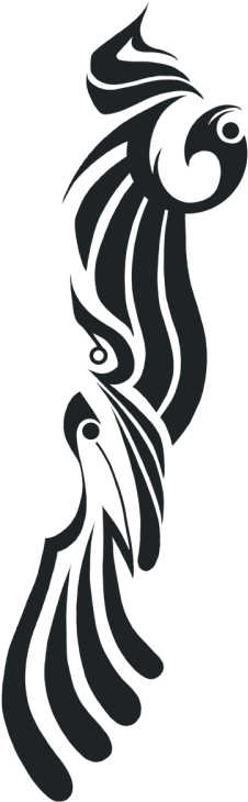 Chest (395x750), Png Download