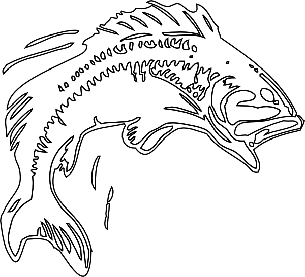 Large Mouth Bass Drawing At Getdrawings - Black And White Bass Fishing (600x546), Png Download