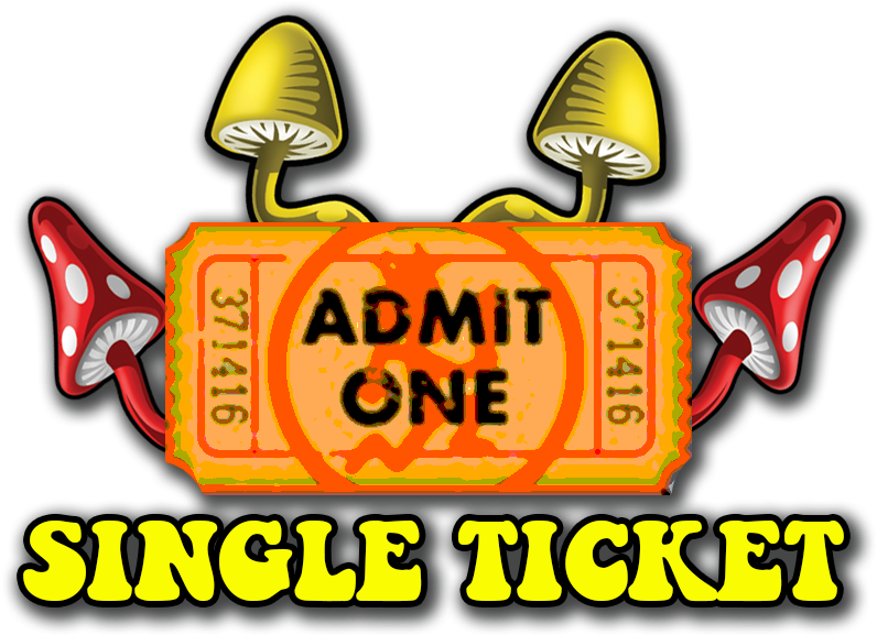 Gathering Event Ticket - Blank Ticket (825x600), Png Download