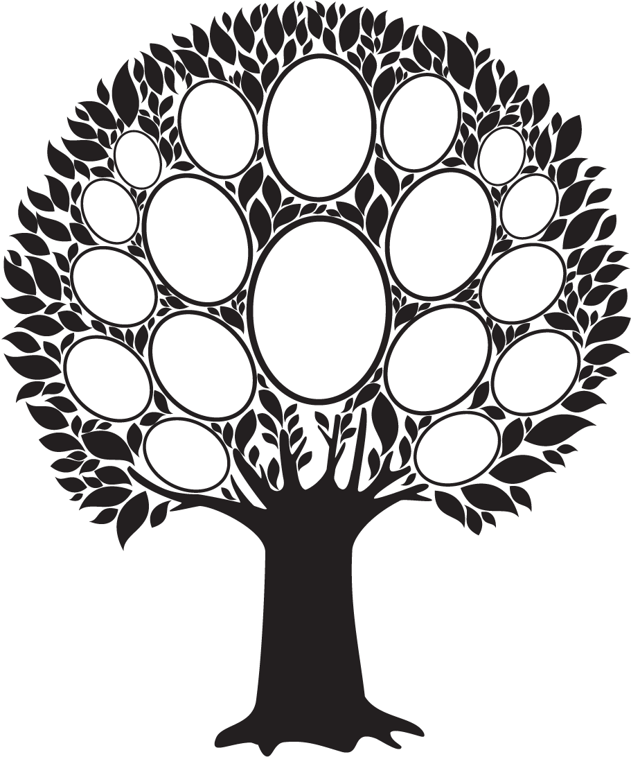 Genealogy Workshop - Family Tree Photo Frame Png (1134x1134), Png Download