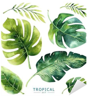 Hand Drawn Watercolor Tropical Plants Set - Jungle Plants Watercolor (400x400), Png Download