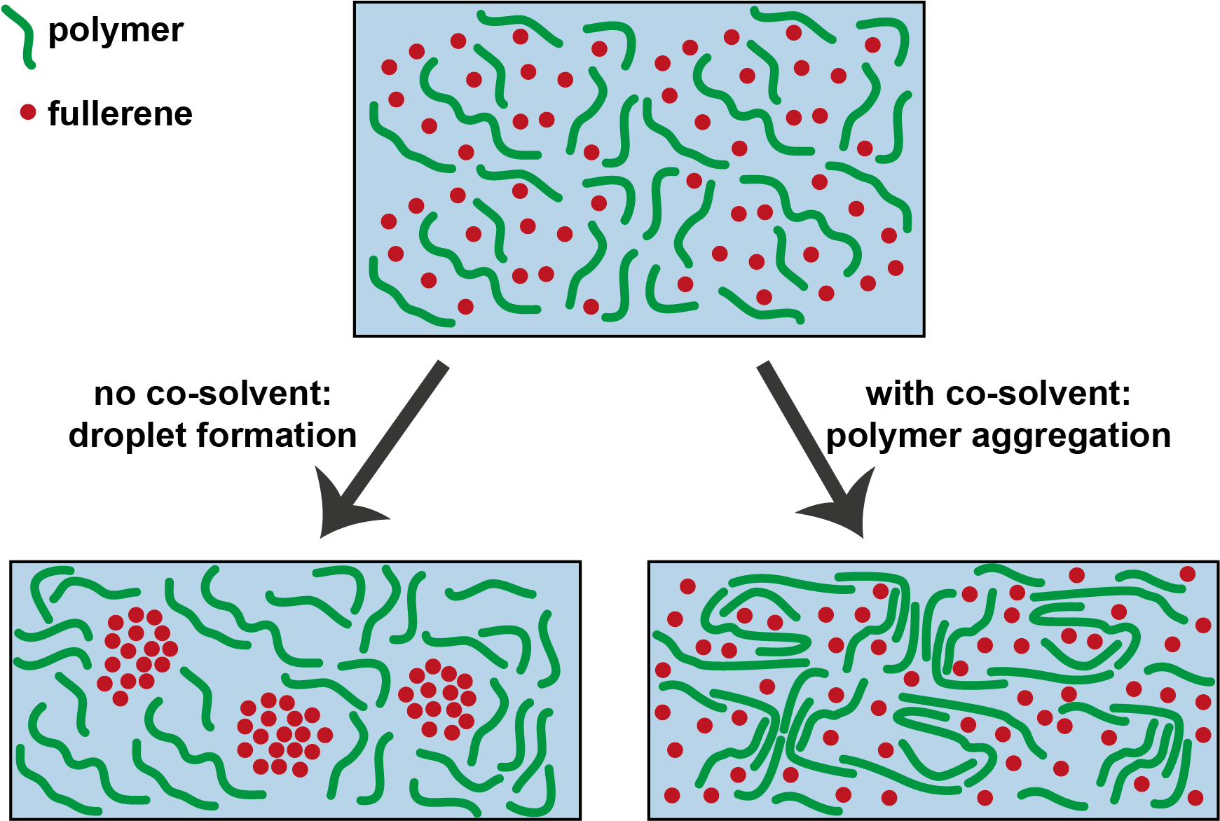 Solvent Effects Organic Solar Cell (1773x1197), Png Download