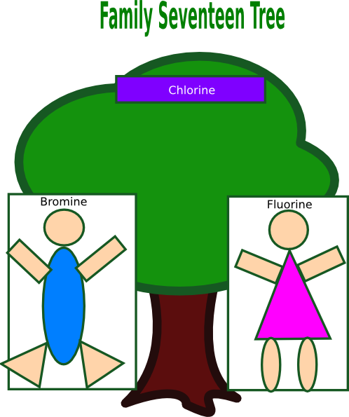 How To Set Use Family Tree Clipart (498x595), Png Download