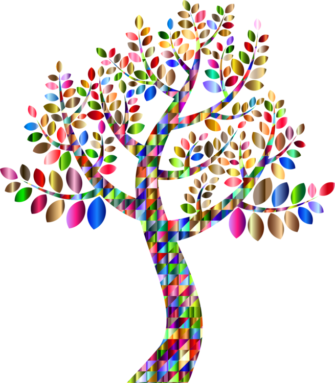 Genealogy Family Tree Family Tree Branch - Colorful Tree Transparent Background (655x750), Png Download