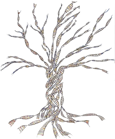 Transparent Dna Family History - Genealogy Dna (398x454), Png Download