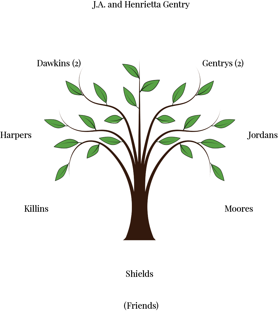 Family Tree - Tree Vector Png Free (970x1084), Png Download