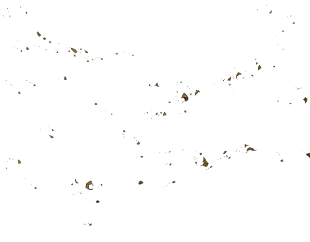 Flock (640x500), Png Download