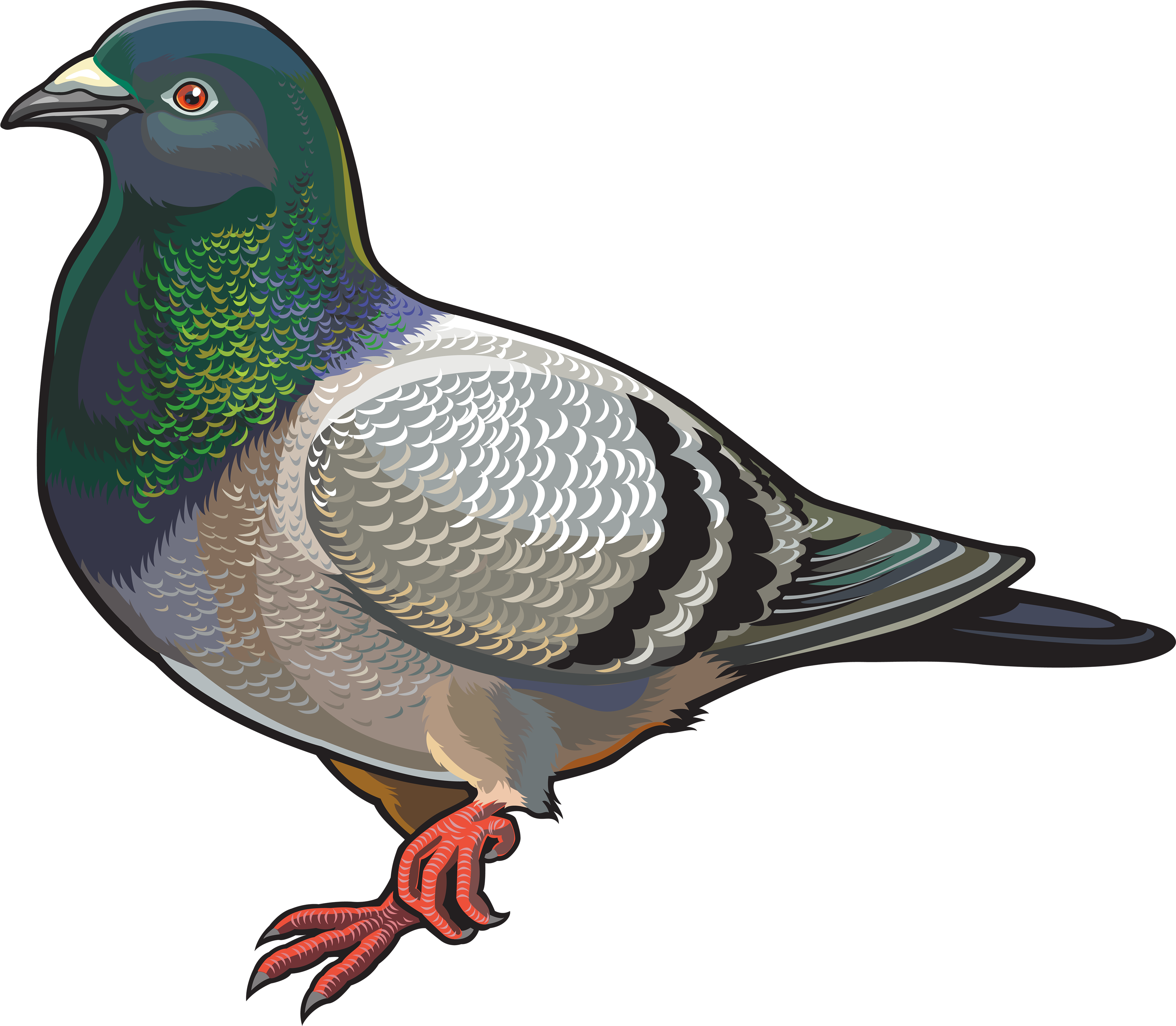 Pigeon Png Clipart - Destinationvinyl 2 X 10cm/100mm Pigeon Vinyl Sticker (4000x3489), Png Download