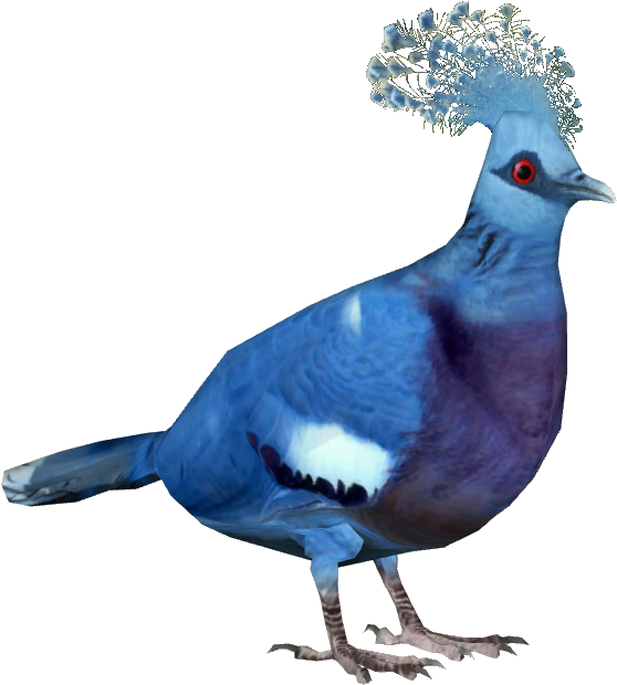 Victoria Crowned Pigeon - Victoria Crowned Pigeon Png (619x619), Png Download
