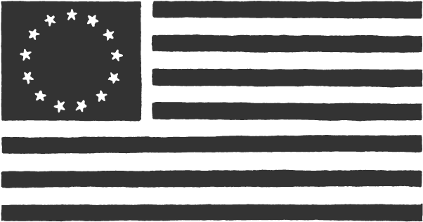 Usa Flag Illustrated (601x601), Png Download