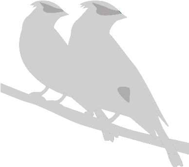 Birdwatching (387x386), Png Download