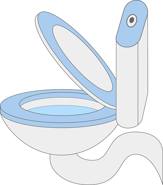 How To Unclog A Toilet With Baking Soda - Toilet (566x640), Png Download