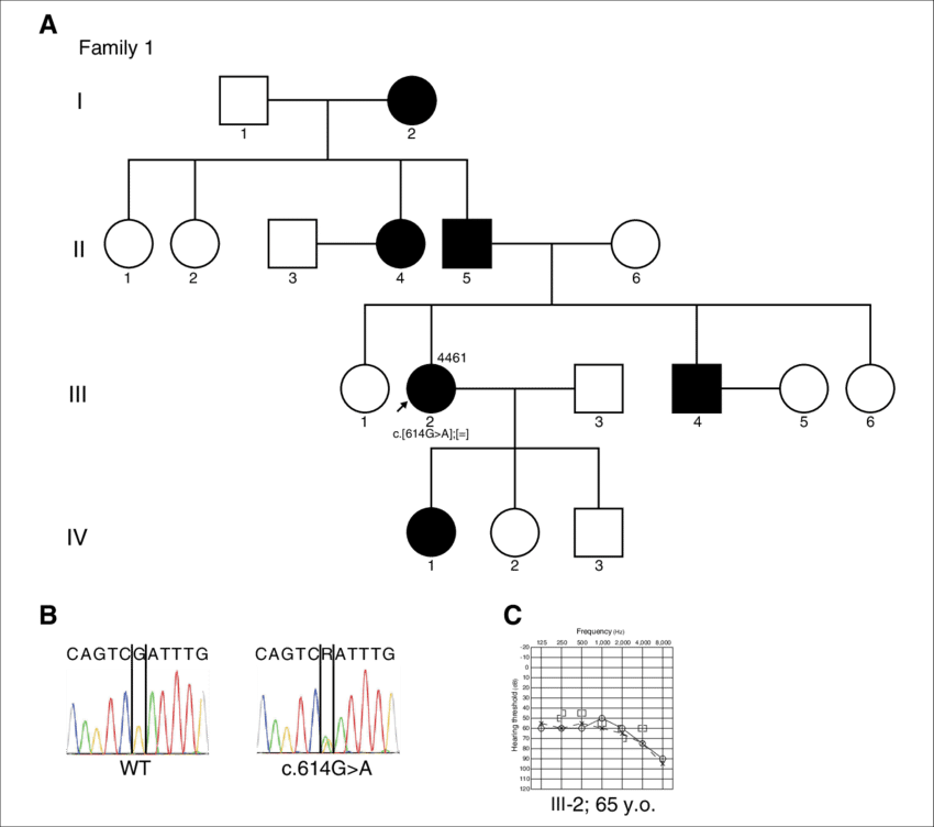The Family Tree Of Patient 4461 (a 65- - Diagram (850x752), Png Download