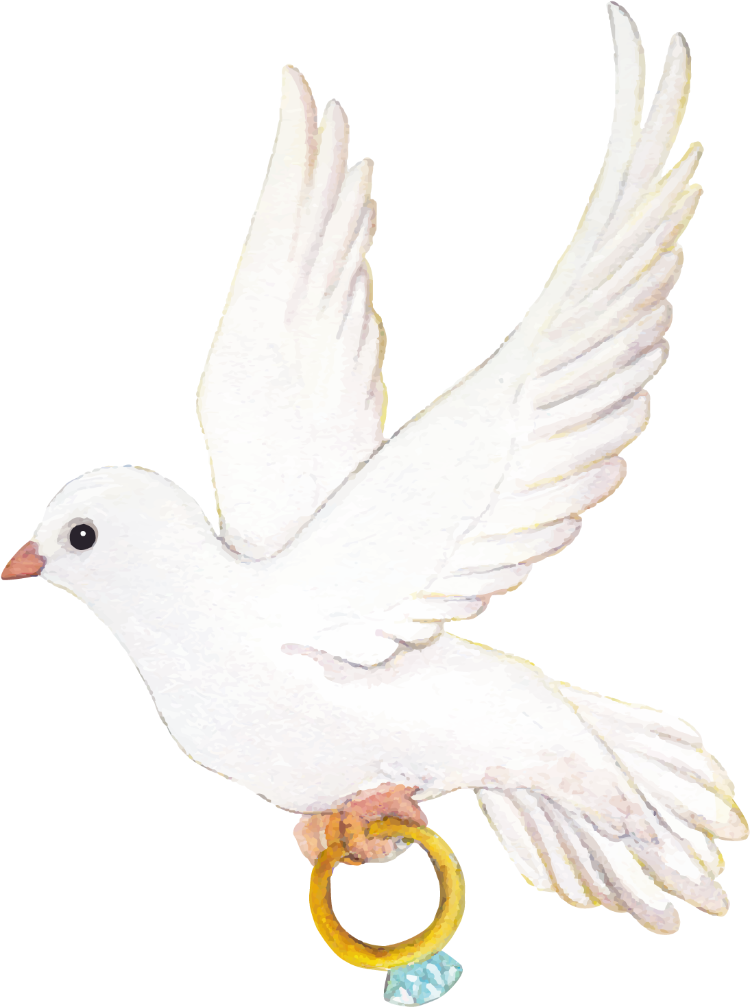Snitch Vector Pigeon Wing - White Pigeon Wedding Png (1600x1600), Png Download