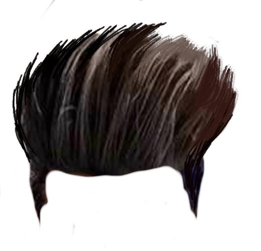 Hairstyle 0 Wig, hair, people, sticker png | PNGEgg