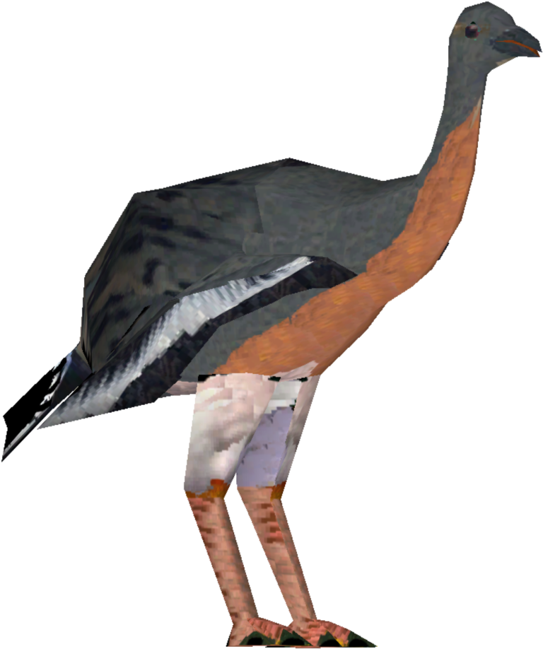 Passenger Pigeon (1024x1024), Png Download