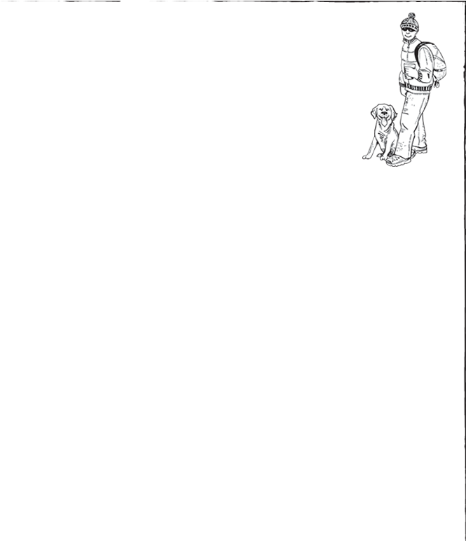 Mod Border Topright2-hiker - Sketch (699x772), Png Download