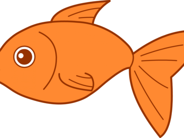 Goldfish Clipart Transparent - Fish Clipart (640x480), Png Download