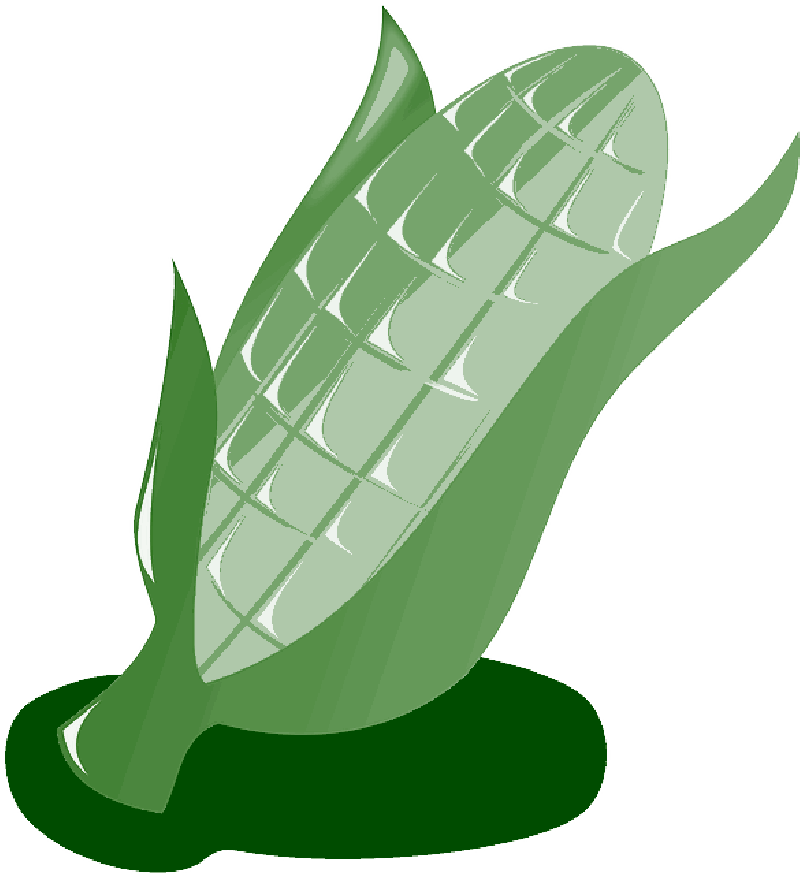 Mb Image/png - Maize (800x875), Png Download