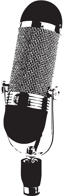 Old, Microphone, Record, Sound, Antique, Speak, Mic - Aea R84 Versatile Large Ribbon Microphone (320x640), Png Download