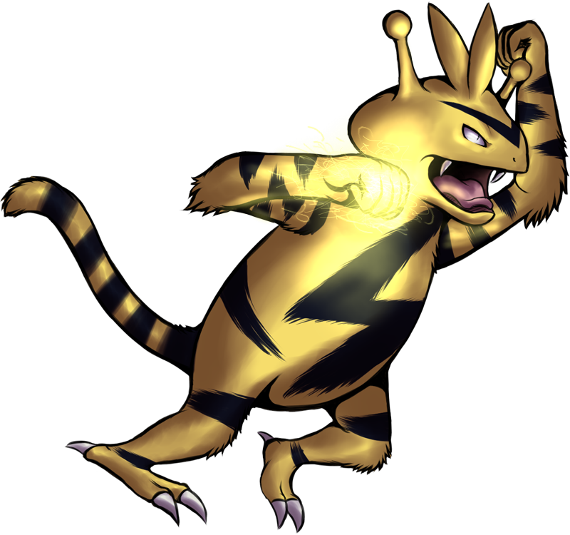 Electabuzz (800x750), Png Download