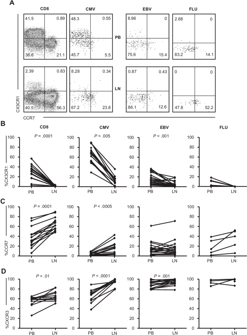 Chemokine Receptor Expression On Cd8 T Cells In The (850x1148), Png Download