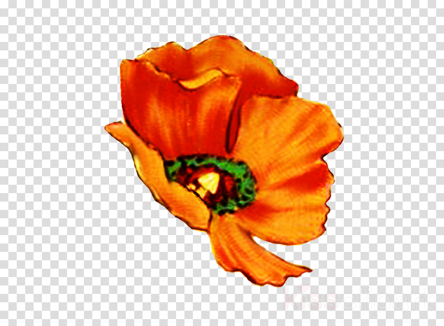 Digital Flower Png Clipart Flower Greeting & Note Cards - Digital Scrapbooking (900x660), Png Download