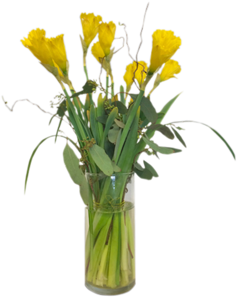 Dashing Daffodils - Vase (600x600), Png Download