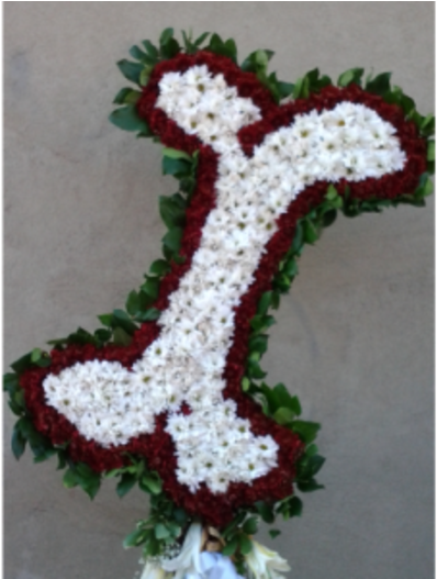 Dog Bone - Crochet (600x673), Png Download