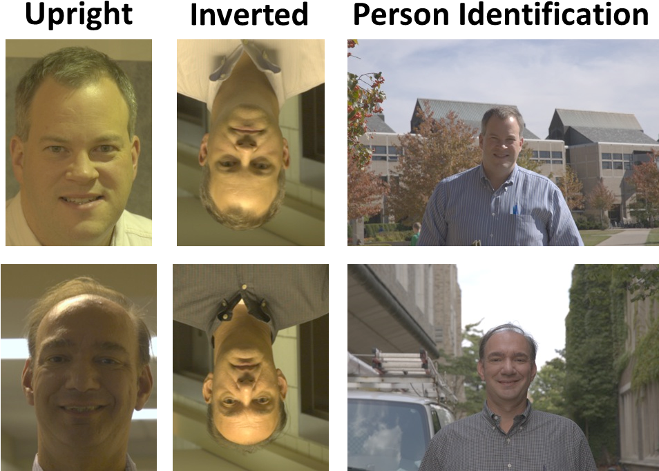 South Carolina (970x711), Png Download