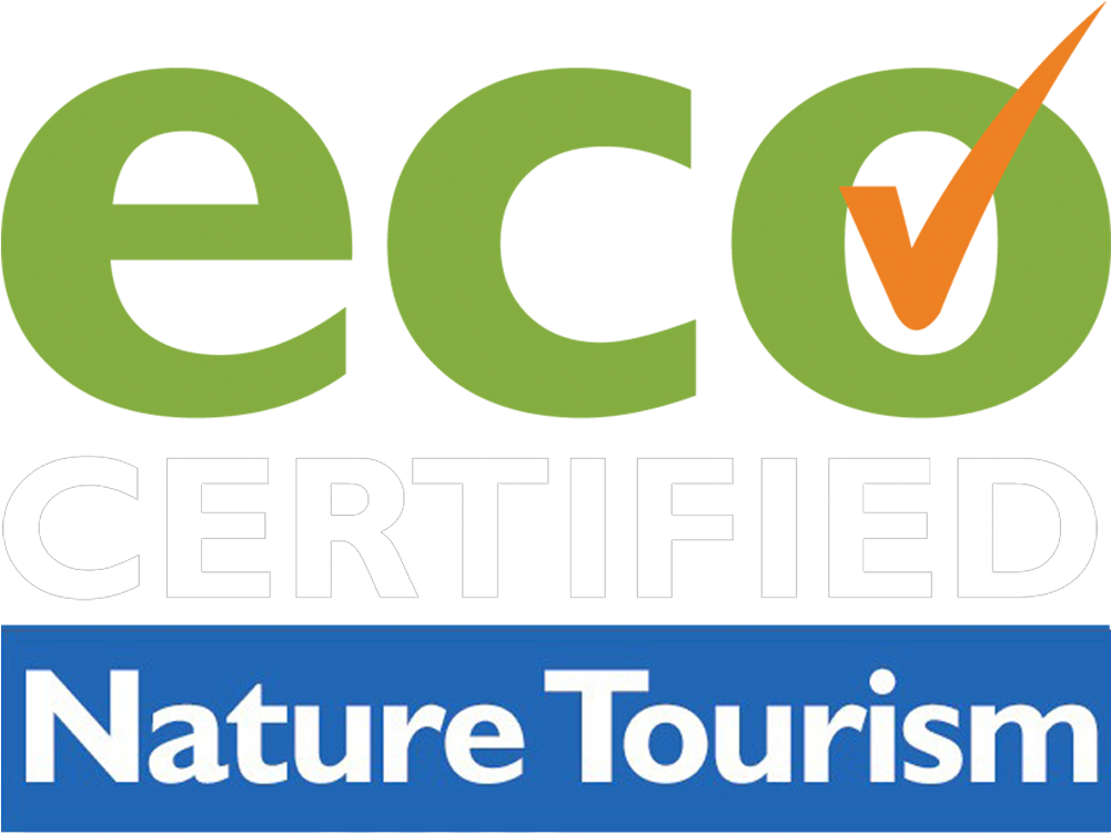 Australian Age Of Dinosaurs Ltd - Eco Certified Nature Tourism (1000x813), Png Download