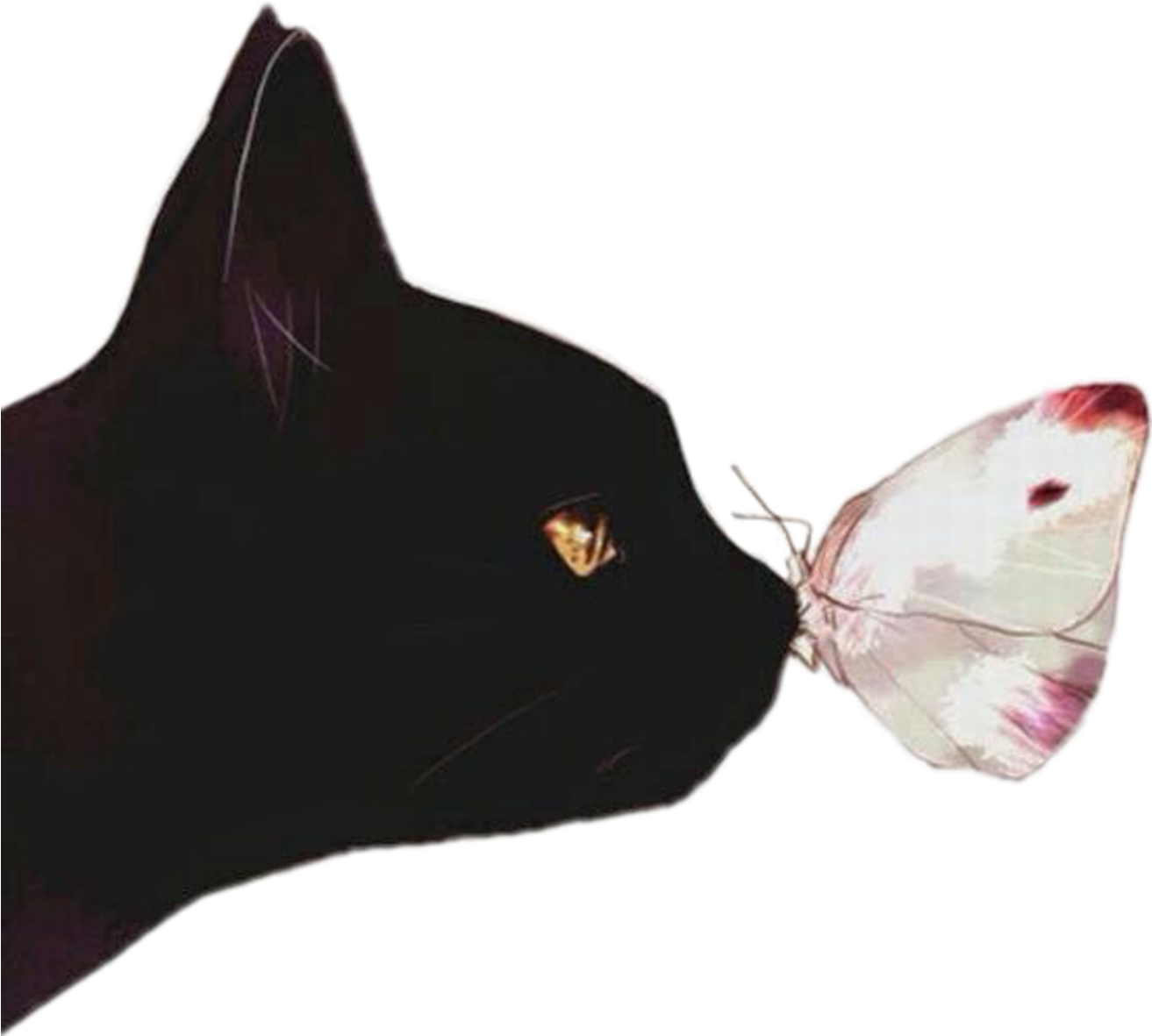 Cat Borboleta Gato Preto Black Tumblr Png Tumblr Black - Tetiba Cotton Linen Decorative Square Throw Pillow (2289x2289), Png Download