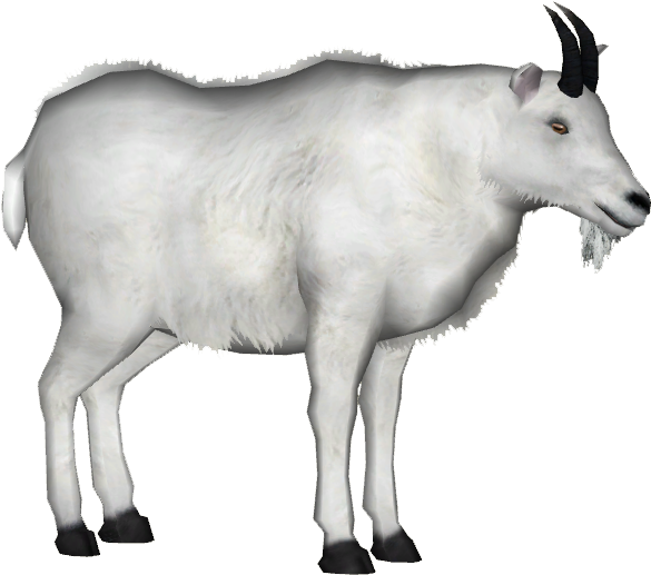 Mountain Goat 3 - Mountain Goat Png (584x584), Png Download