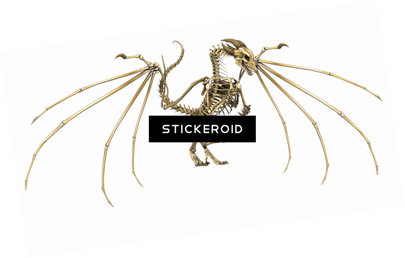 Dragon Skeleton (1363x870), Png Download