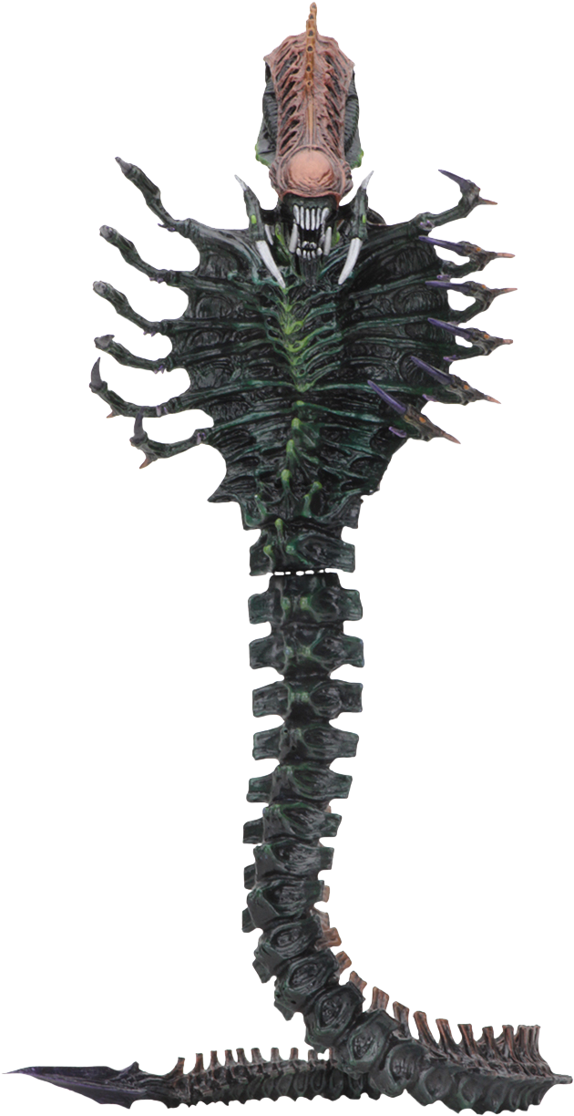 Snake Alien 7” Action Figure - Neca Alien Series 13 (1040x1300), Png Download