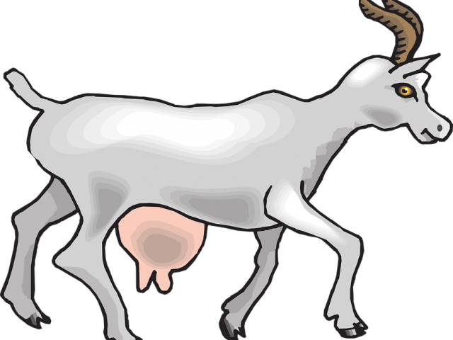 Goat Clipart Walking - Animal Gives Us Milk (640x480), Png Download