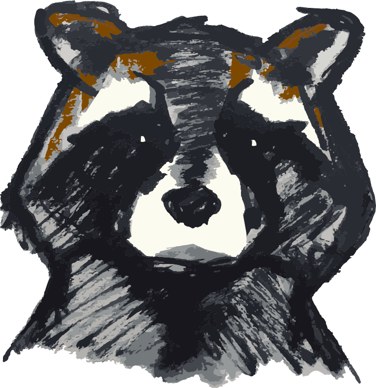 Vndjpfr0tvchxh4q0lnn Raccoon - Illustration (763x788), Png Download