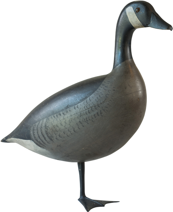 One Legged Canada Goose Decoy By Charles Schoenheider - 1 Legged Bird Png (590x748), Png Download