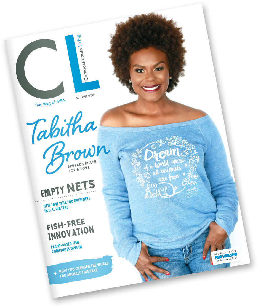 Twitter (1124x1219), Png Download