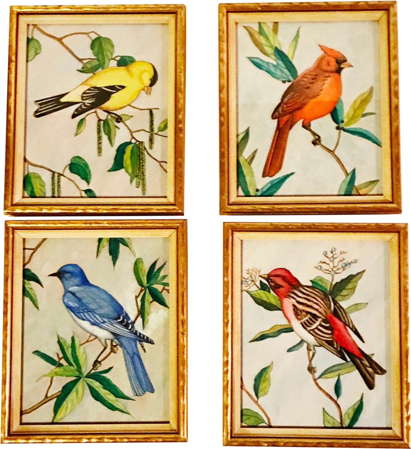 Vintage Original Paintings Of Birds In Gold Frames - Jay (1536x1678), Png Download
