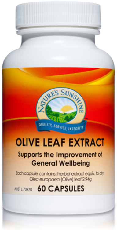 Nature's Sunshine Olive Leaf Extract 60c - Gotu Kola Natures Sunshine (800x800), Png Download
