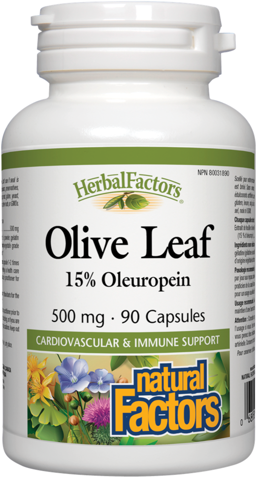 Natural Factors Herbal Factors Olive Leaf 90caps - Natural Factors Ginkgo Biloba (553x1024), Png Download