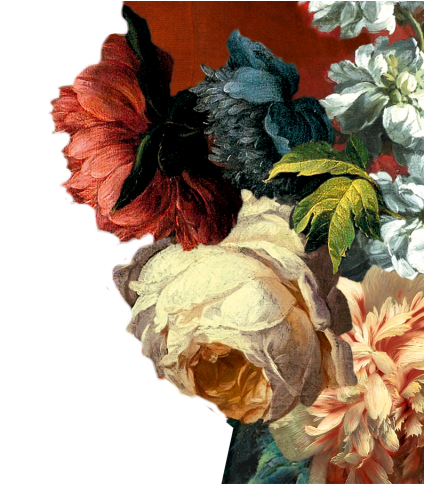 Olive Oil (1024x483), Png Download